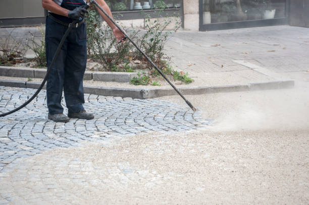 Animal Enclosure Cleaning in Moosic, PA